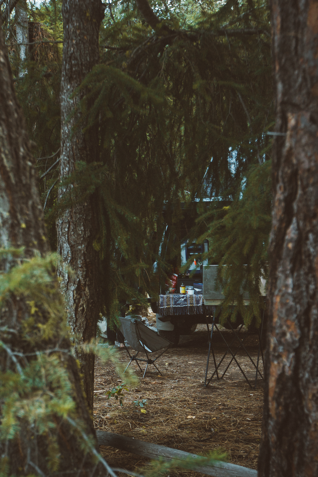 Car Camping with Charlie the Land Cruiser Overlander for Conscious by Chloé