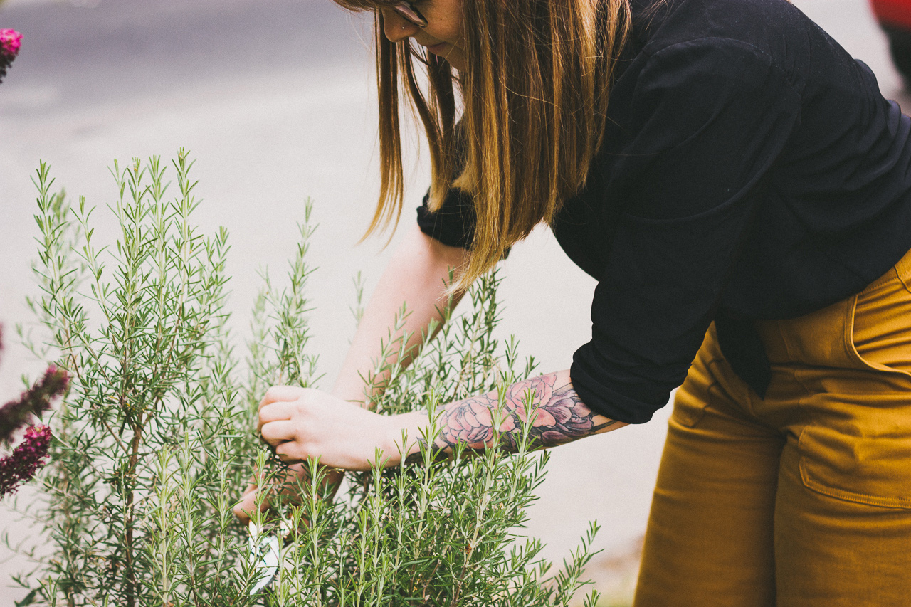 Urban Foraging for Rosemary by Conscious by Chloé