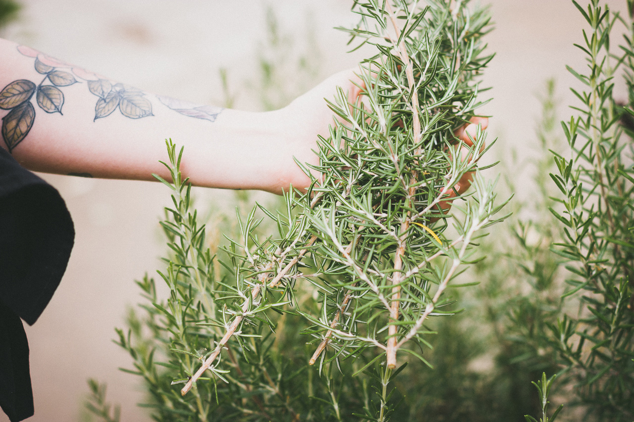 Urban Foraging by Conscious by Chloé