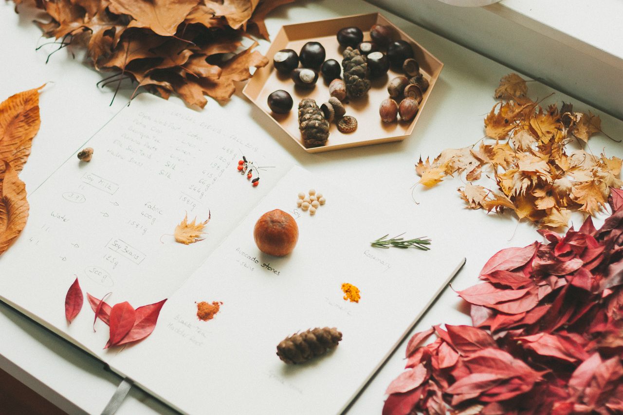 Natural Dyeing with Elizabeth Suzann by Conscious by Chloé