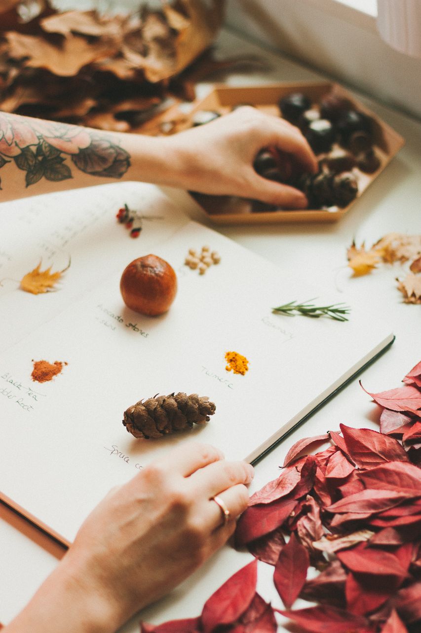 Natural Dyeing with Elizabeth Suzann by Conscious by Chloé