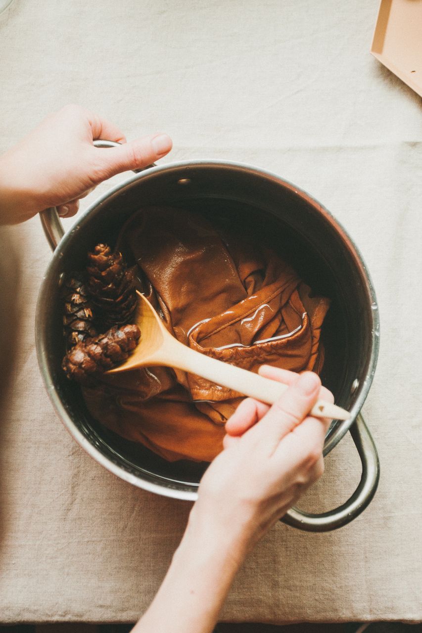 Natural Dyeing with Elizabeth Suzann by Conscious by Chloé