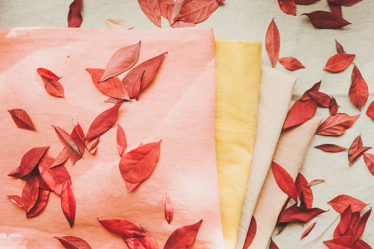 Natural Dyeing with Elizabeth Suzann by Conscious by Chloé