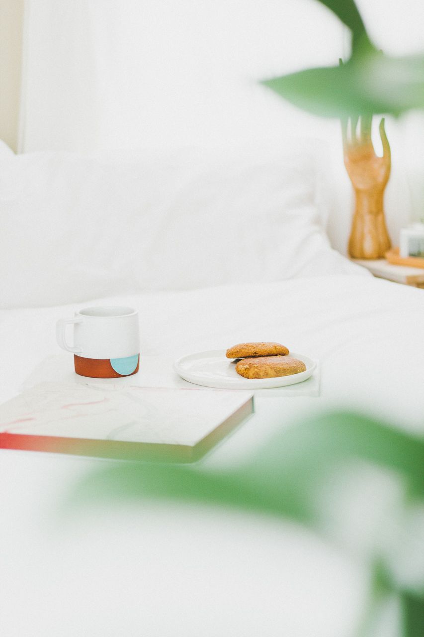 SOL Organics Classic Organic Bedding Bundle King White by Conscious by Chloé