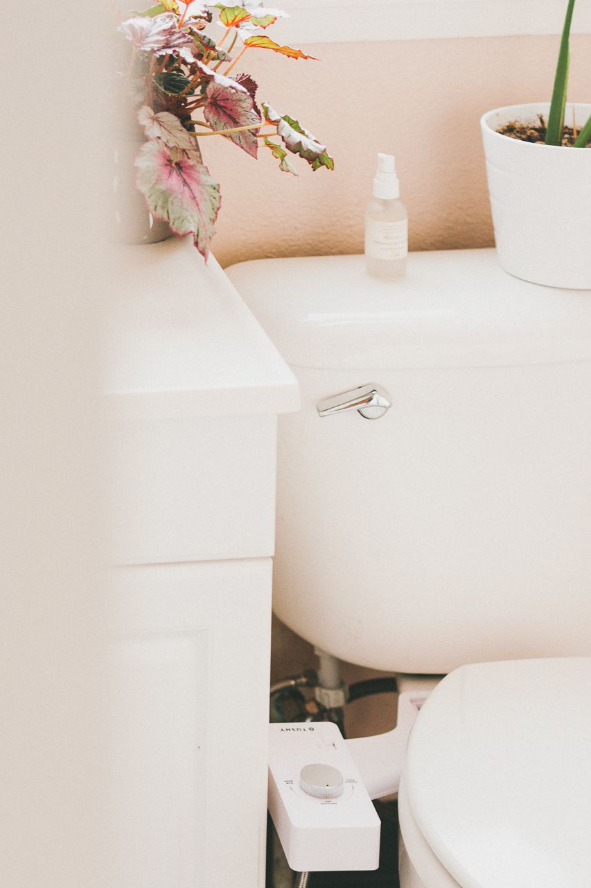 Tushy Classic White Silver Bidet by Conscious by Chloé