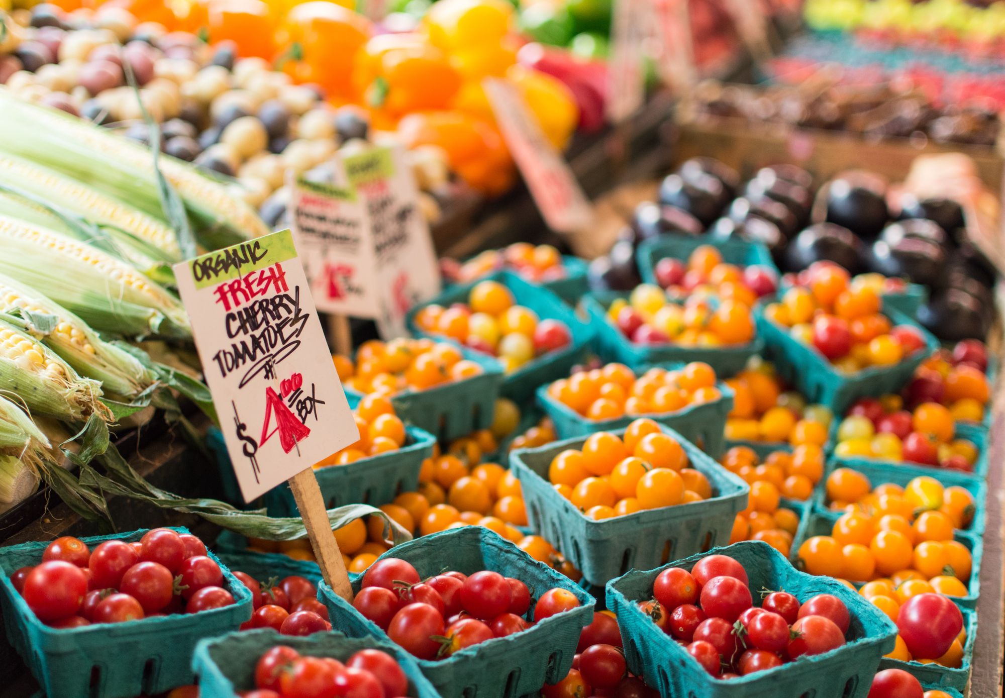 Farmers Market by Anne Preble for Conscious by Chloé