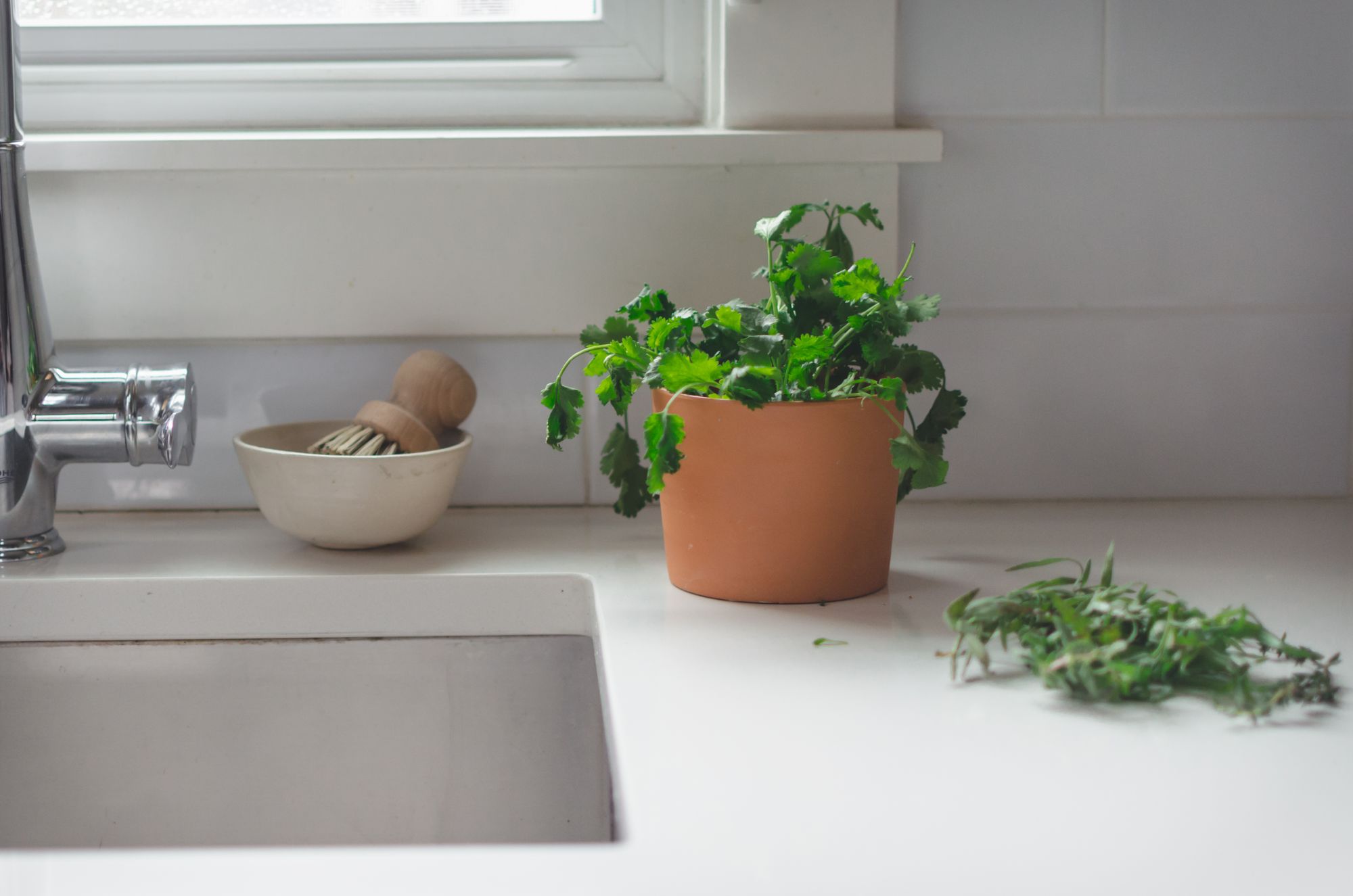 Fresh Herbs by Secret Supper for Conscious by Chloé