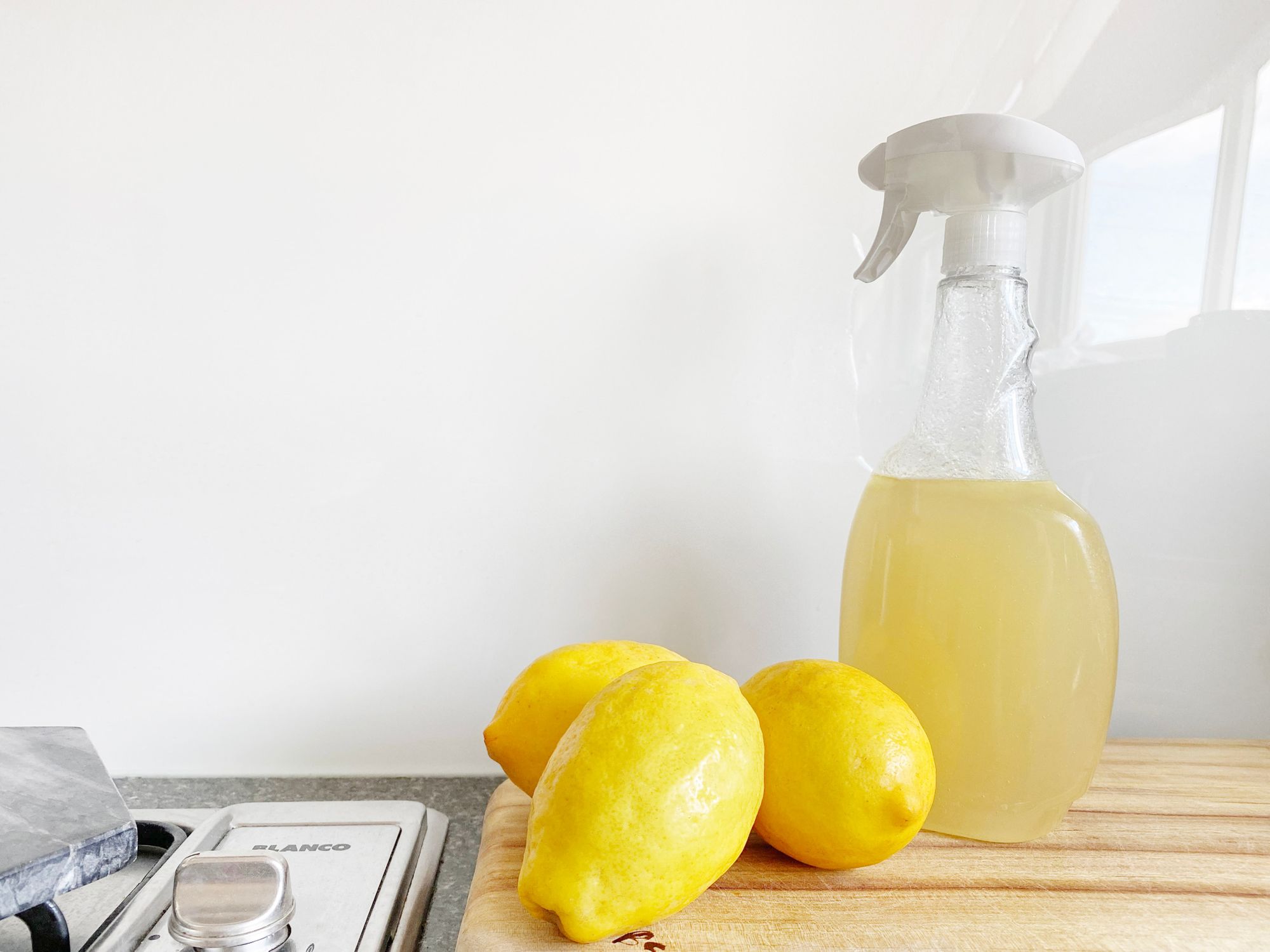 Green Services Zero Waste Bend and Central Oregon by Conscious by Chloé