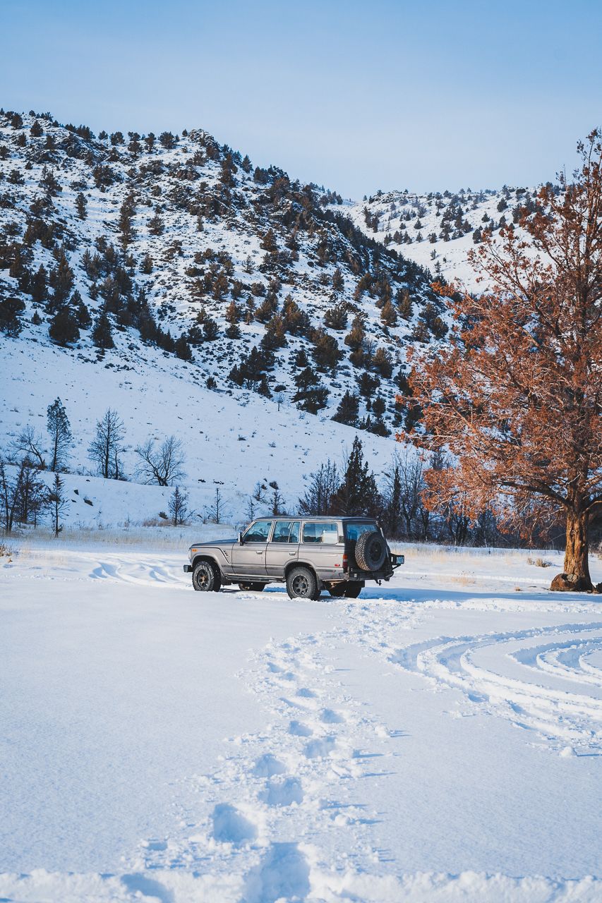 Paisley Oregon Winter by Conscious by Chloé
