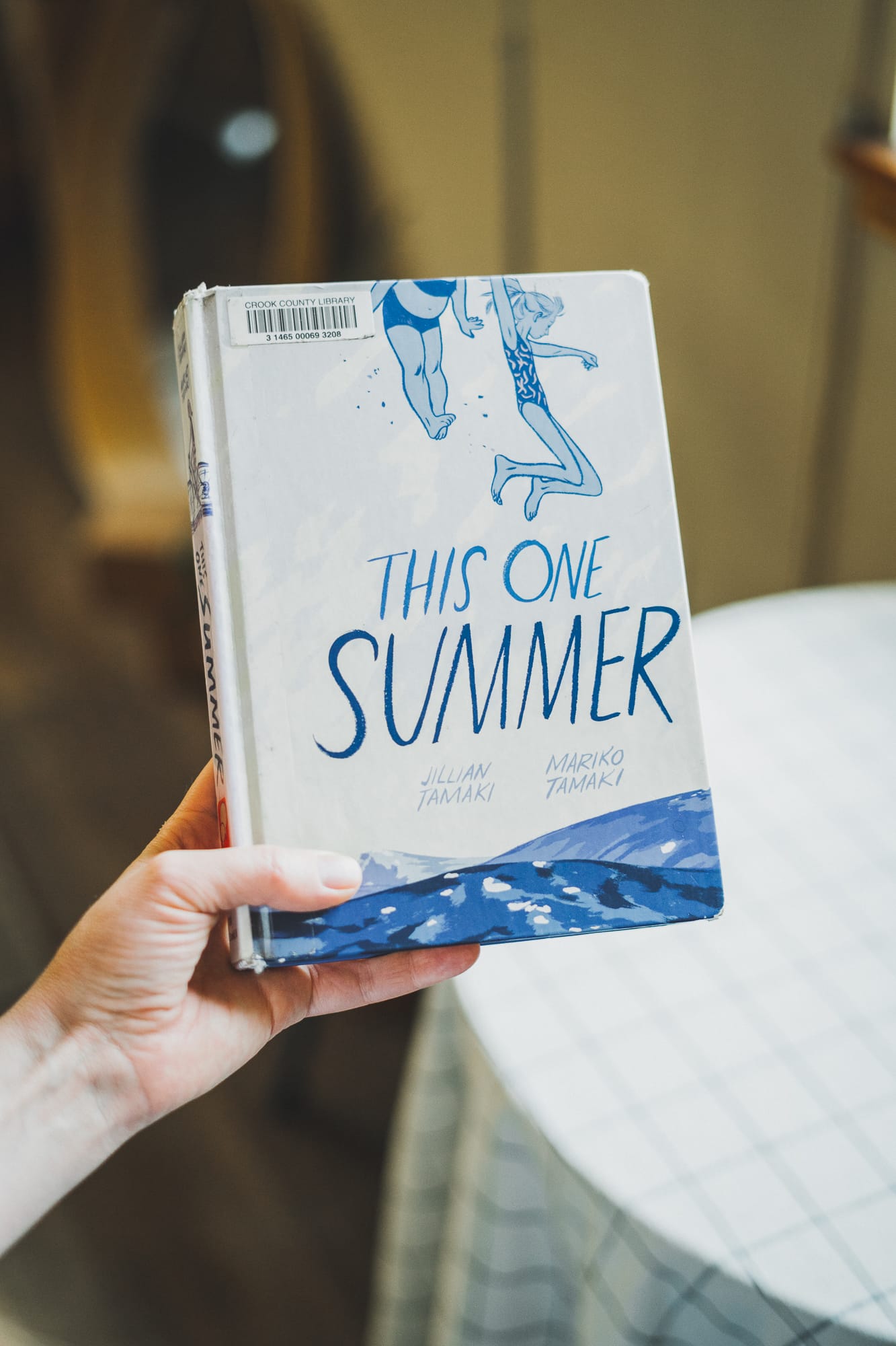 Jillan & Mariko Tamaki - This One Summer